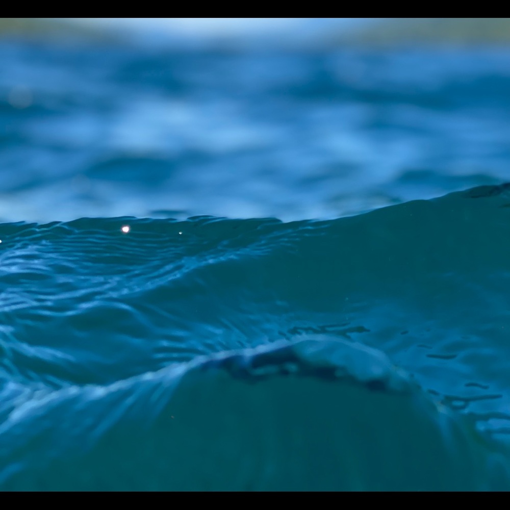 Meet your Posher, Nadine